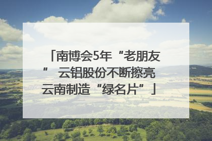 南博会5年“老朋友” 云铝股份不断擦亮云南制造“绿名片”