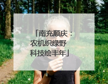 南充顺庆：农机织绿野 科技绘丰年