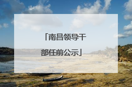 南昌领导干部任前公示