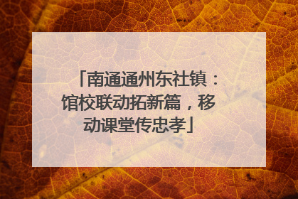 南通通州东社镇：馆校联动拓新篇，移动课堂传忠孝