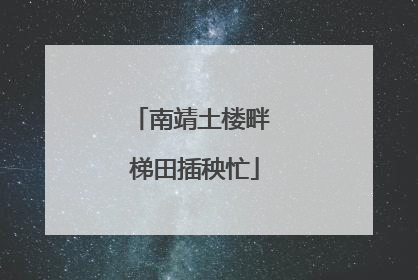 南靖土楼畔 梯田插秧忙