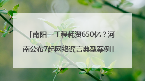 南阳一工程耗资650亿？河南公布7起网络谣言典型案例