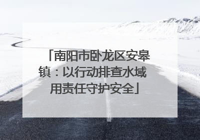 南阳市卧龙区安皋镇：以行动排查水域 用责任守护安全