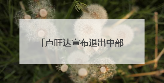 卢旺达宣布退出中部非洲国家经济共同体