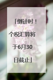倒计时！个税汇算将于6月30日截止