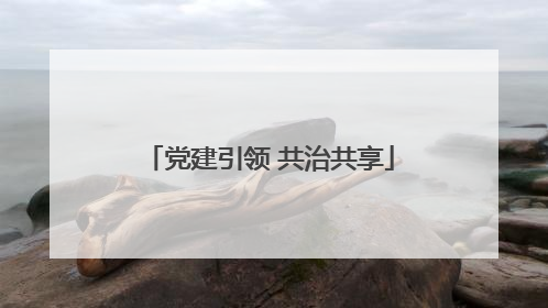 党建引领 共治共享