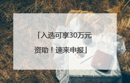 入选可享30万元资助！速来申报