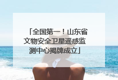 全国第一！山东省文物安全卫星遥感监测中心揭牌成立