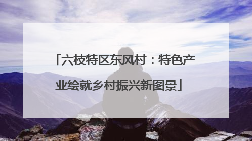 六枝特区东风村：特色产业绘就乡村振兴新图景