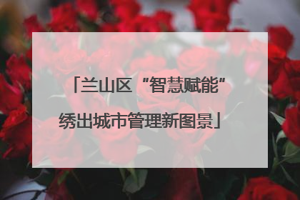 兰山区“智慧赋能”绣出城市管理新图景