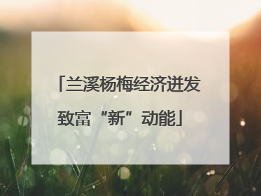 兰溪杨梅经济迸发致富“新”动能