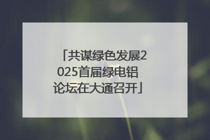 共谋绿色发展2025首届绿电铝论坛在大通召开