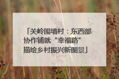 关岭围墙村：东西部协作铺就“幸福路” 描绘乡村振兴新图景