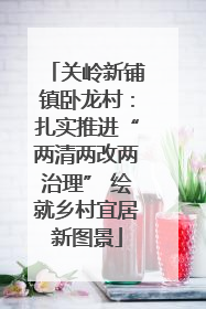 关岭新铺镇卧龙村：扎实推进“两清两改两治理” 绘就乡村宜居新图景
