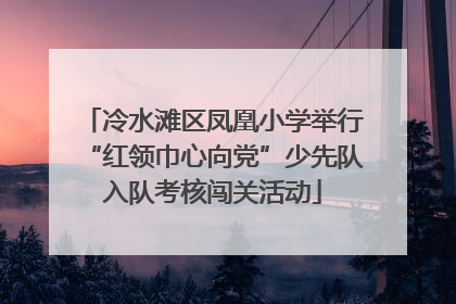 冷水滩区凤凰小学举行“红领巾心向党”少先队入队考核闯关活动