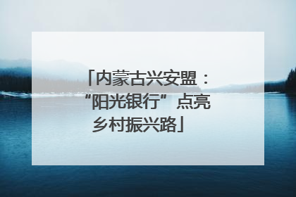 内蒙古兴安盟：“阳光银行”点亮乡村振兴路
