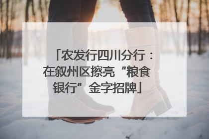 农发行四川分行：在叙州区擦亮“粮食银行”金字招牌