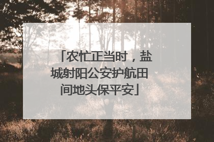 农忙正当时，盐城射阳公安护航田间地头保平安