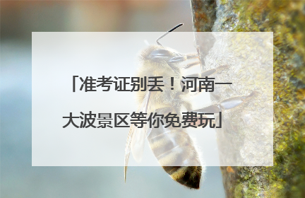 准考证别丢！河南一大波景区等你免费玩