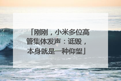刚刚，小米多位高管集体发声：诋毁，本身就是一种仰望