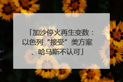 加沙停火再生变数：以色列“接受”美方案、哈马斯不认可