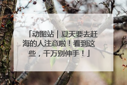动图站｜夏天要去赶海的人注意啦！看到这些，千万别伸手！