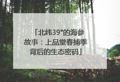 北纬39°的海参故事：上品堂春捕季背后的生态密码