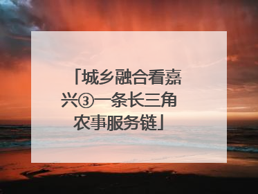 城乡融合看嘉兴③一条长三角农事服务链
