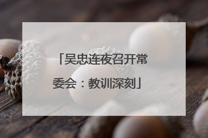 吴忠连夜召开常委会：教训深刻