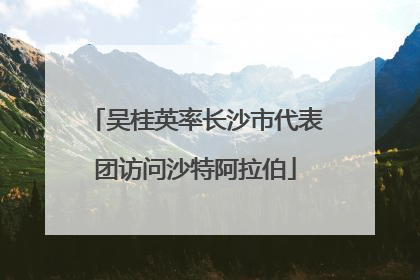吴桂英率长沙市代表团访问沙特阿拉伯