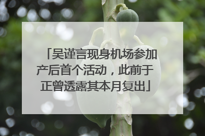 吴谨言现身机场参加产后首个活动，此前于正曾透露其本月复出