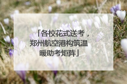 各校花式送考，郑州航空港构筑温暖助考矩阵