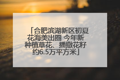 合肥滨湖新区初夏花海美出圈 今年新种植草花、播撒花籽约6.5万平方米