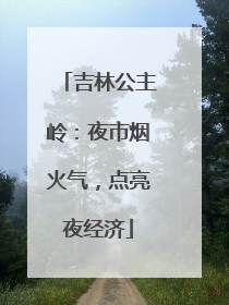 吉林公主岭：夜市烟火气，点亮夜经济