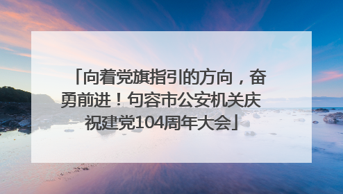 向着党旗指引的方向，奋勇前进！句容市公安机关庆祝建党104周年大会