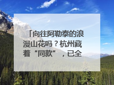 向往阿勒泰的浪漫山花吗？杭州藏着“同款”，已全面进入盛花期