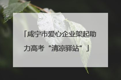 咸宁市爱心企业架起助力高考“清凉驿站”
