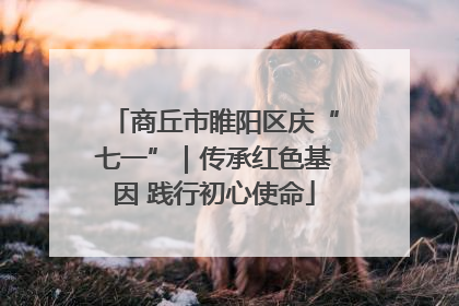商丘市睢阳区庆“七一”｜传承红色基因 践行初心使命