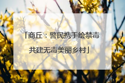 商丘：警民携手绘禁毒 共建无毒美丽乡村