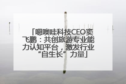 嗯噢哇科技CEO窦飞鹏：共创旅游专业能力认知平台，激发行业“自生长”力量