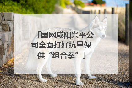 国网咸阳兴平公司全面打好抗旱保供“组合拳”