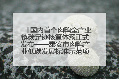 国内首个肉鸭全产业链碳足迹核算体系正式发布——泰安市肉鸭产业低碳发展标准示范项目顺利通过验收
