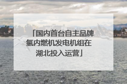 国内首台自主品牌氢内燃机发电机组在湖北投入运营
