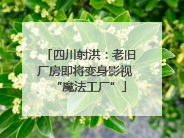 四川射洪：老旧厂房即将变身影视“魔法工厂”