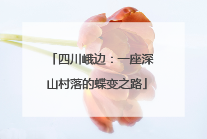 四川峨边：一座深山村落的蝶变之路