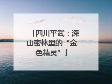 四川平武：深山密林里的“金色精灵”