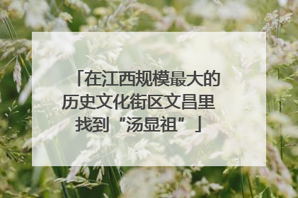 在江西规模最大的历史文化街区文昌里找到“汤显祖”