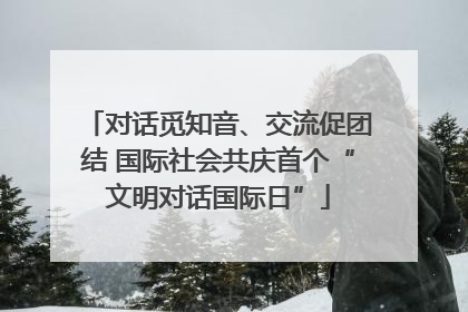 对话觅知音、交流促团结 国际社会共庆首个“文明对话国际日”