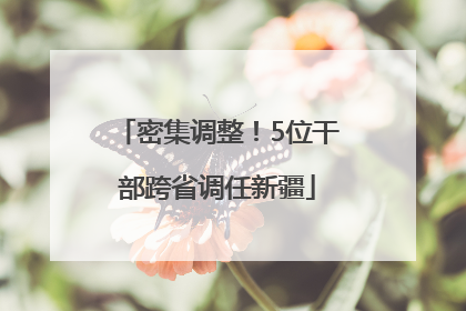 密集调整！5位干部跨省调任新疆