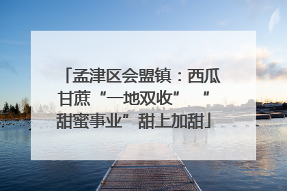 孟津区会盟镇：西瓜甘蔗“一地双收” “甜蜜事业”甜上加甜
